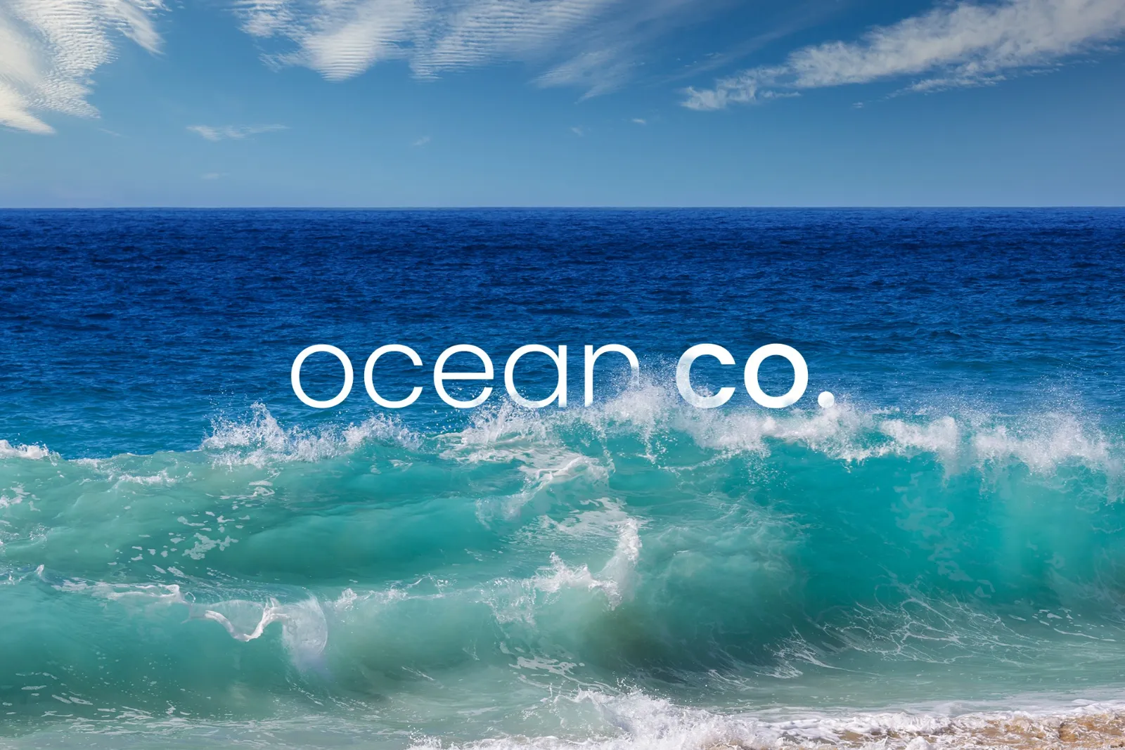 Ocean Co. case study by Stefanie Grant